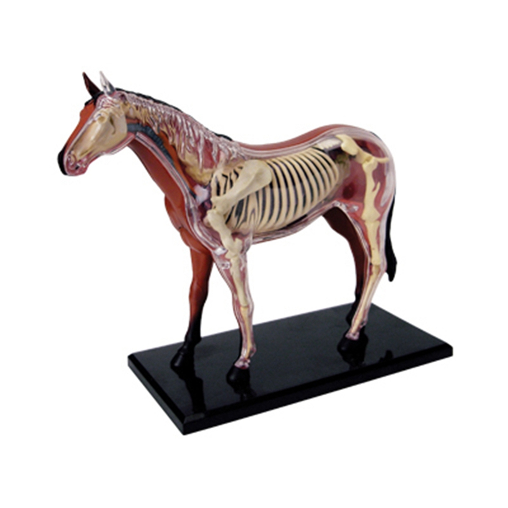 Jouet d'assemblage d'intellige - Science Toys avis et prix